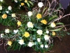 bild-079