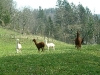 bild-005