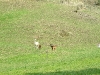 bild-006