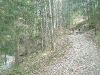 bild-008
