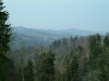 bild-009