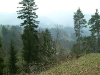bild-016