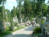 bild-136