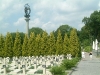 bild-148