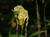 bild-061