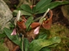 bild-062