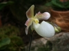 bild-063