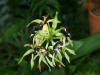 bild-067