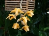 bild-071