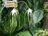 bild-074
