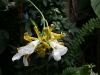 bild-076