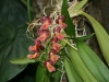 bild-078
