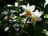 bild-082