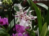bild-083