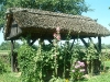 bild-196