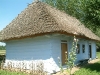 bild-198