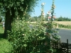 bild-199
