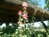 bild-200