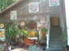 bild-206