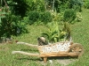 bild-214