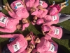 PinkRibbon3